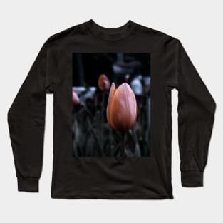 Beautiful Tulipan - macro photography Long Sleeve T-Shirt